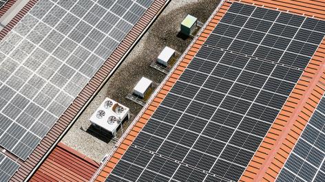 Frische Kräuter fürs ganze Land