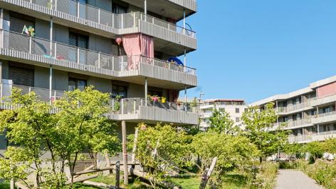 Biogas als Ergänzung zur Wärmeerzeugung des Brauchwarmwassers