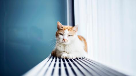 Förderprogramm Wärmepumpe