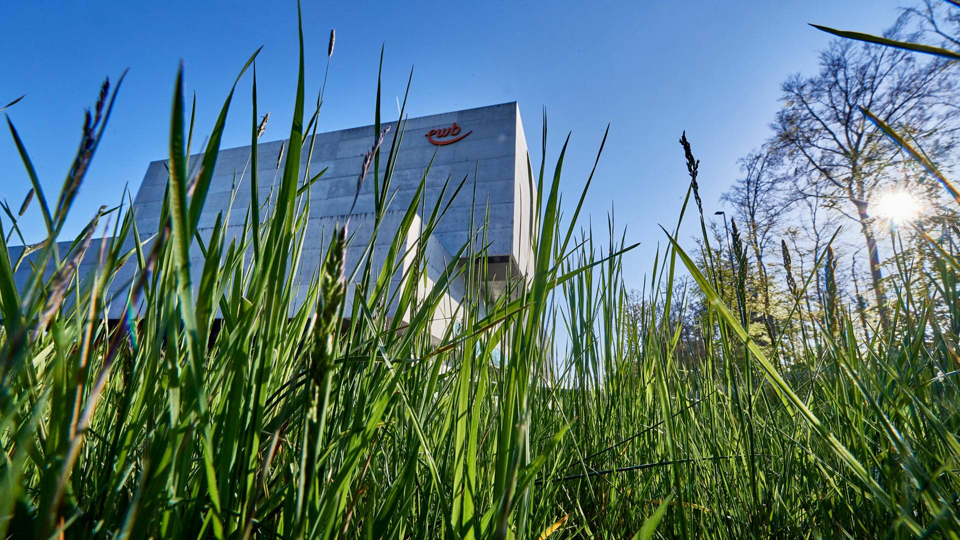 Der Berner Weg zur Energiewende