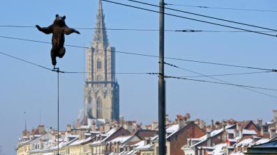 Energie Wasser Bern - So sind wir organisiert