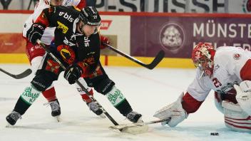 SC Bern